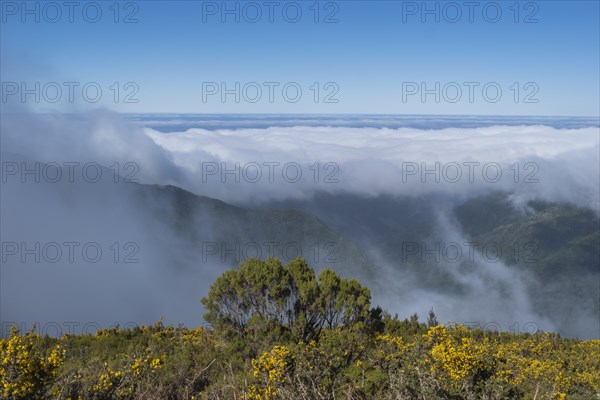 Paul da Serra plateau