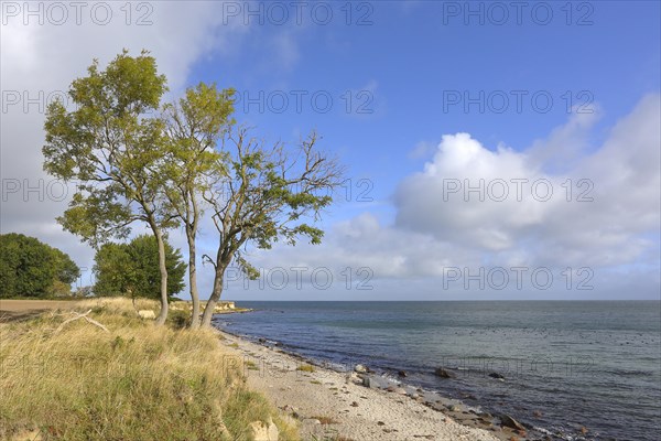 Baltic Sea beach near Staberhuk