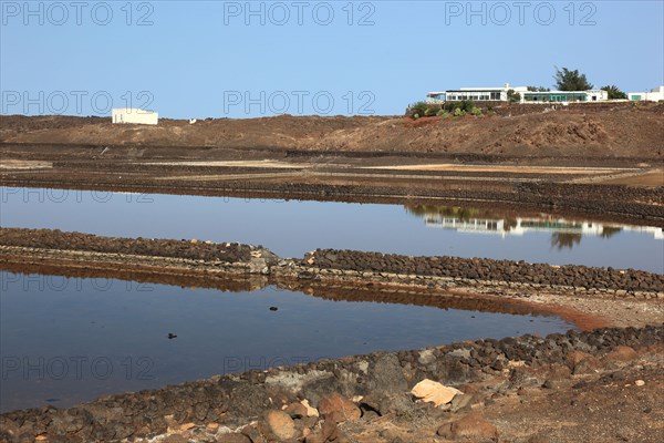 The Salinas de Janubio