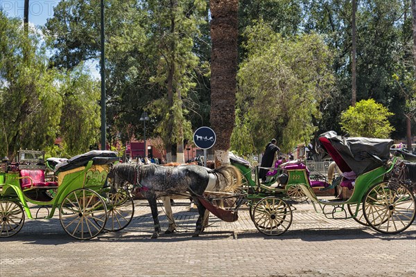 Typical horse-drawn carriages parked by the roadside