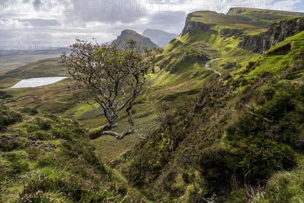 Quiraing Rock Landscape