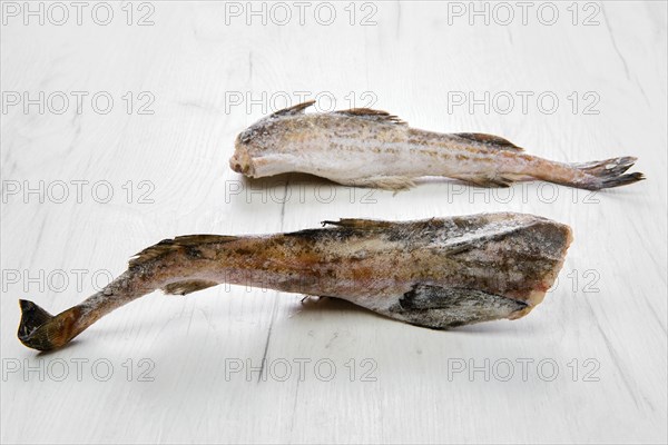 Frozen raw pollock carcass on wooden table