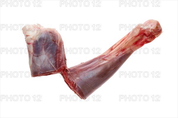 Raw fresh deer shank isolated on white background