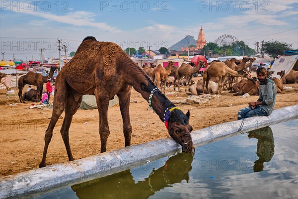 Pushkar