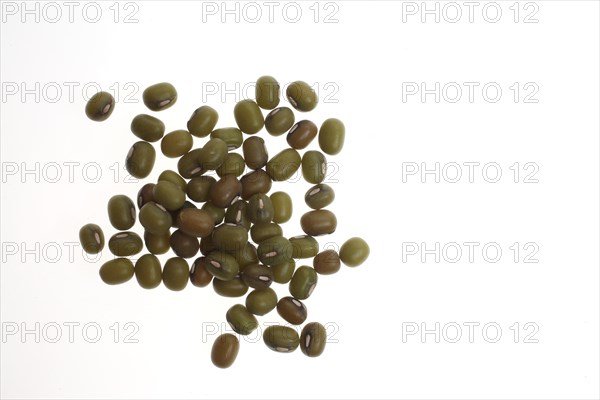 Mung bean