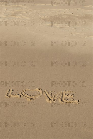 The word Love written in the sand on a beach