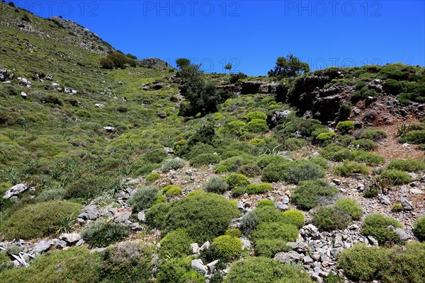 Landscape in Levka Ori area