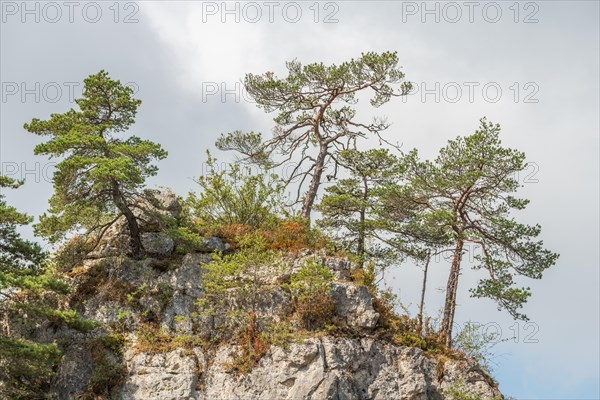 Wild landscape in Cevennes National Park