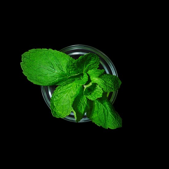 Top view of pot with mint isolated on black