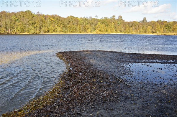 Nature reserve