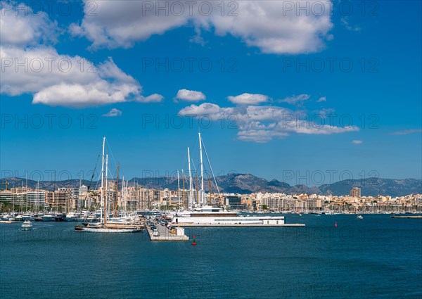 Marina of Palma De Mallorca