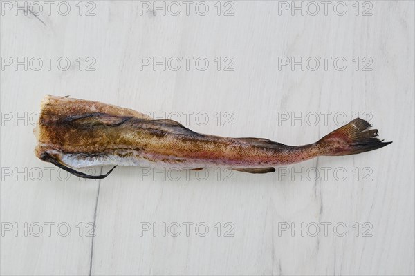 Frozen raw pollock carcass on wooden background