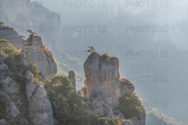 Landscape of a wild and preserved valley