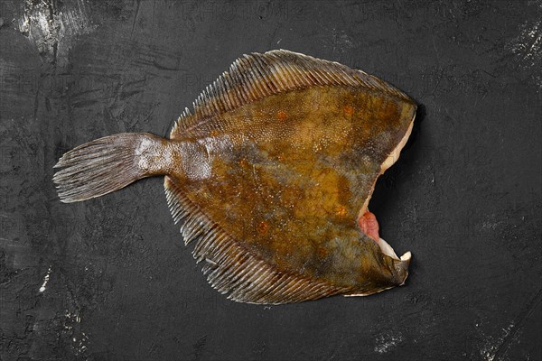 Frozen flounder without head on black background