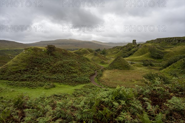 Fairy Glen