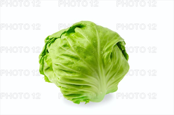 Fresh cabbage isolated on white background