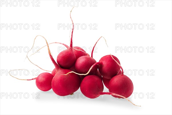 Fresh radish isolated on white background