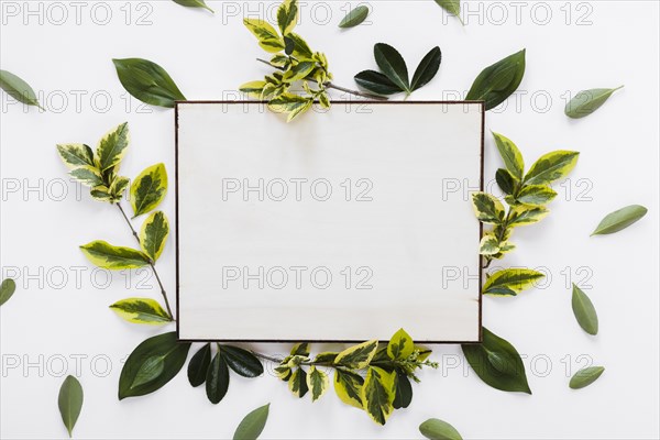 Flat lay paper card template with leaves