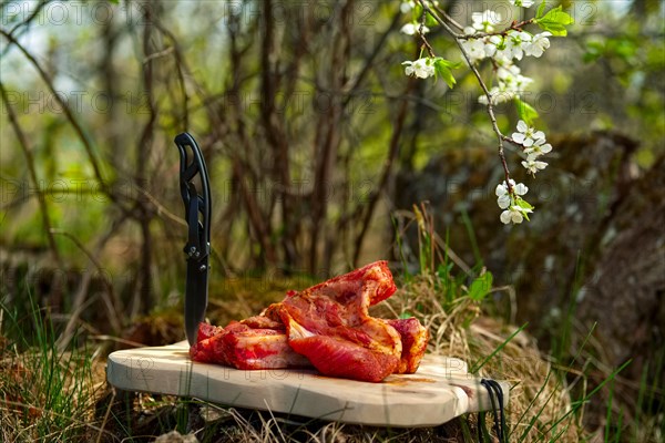 Fresh pork ribs with salt and pepper on cutting board outdoor. Selective focus photo