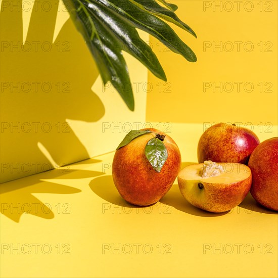 Front view peaches shadows