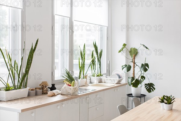 Stylish minimalistic kitchen with plants. Resolution and high quality beautiful photo