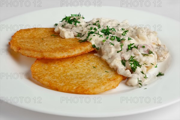 Close up of draniki with mushroom and cream sauce