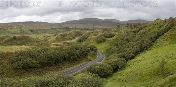 Road through Fairy Glen