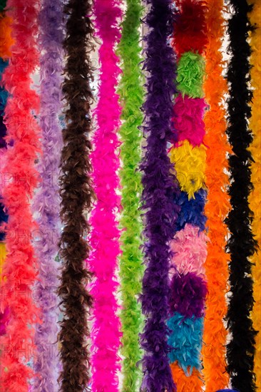 Beautiful bird feathers for decorative purposes