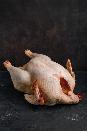 Whole raw turkey carcase on dark background