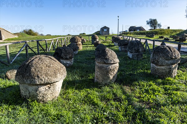 Little mounds in the Necropolis of Tarchuna