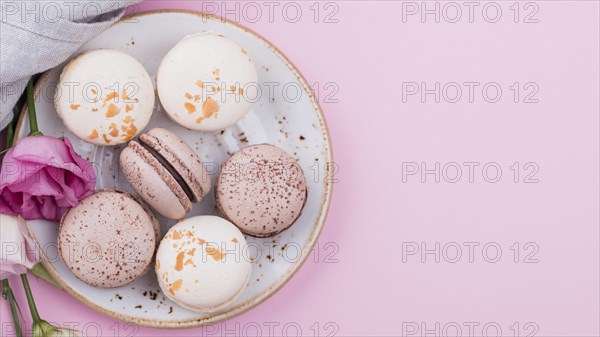 Macarons plate with roses copy space