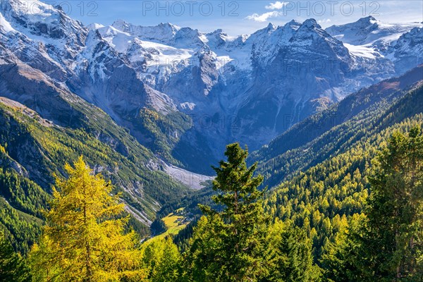 Panorama of the valley with Trafoier ice wall 3565m in early autumn