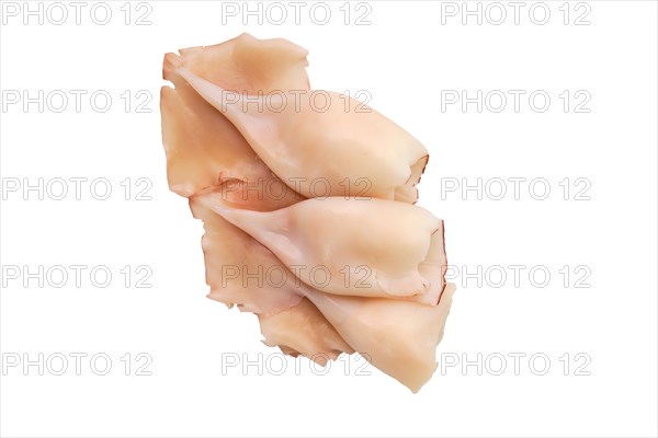 Top view of pilled squid isolated on white background
