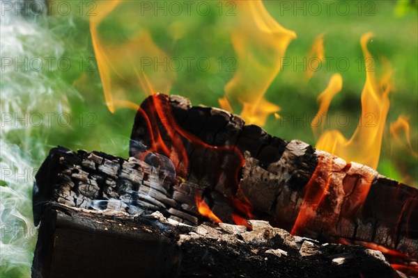 Burning firewood in the fire outdoor