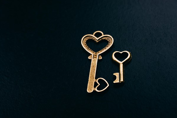 Heart shaped retro metal keys on dark background