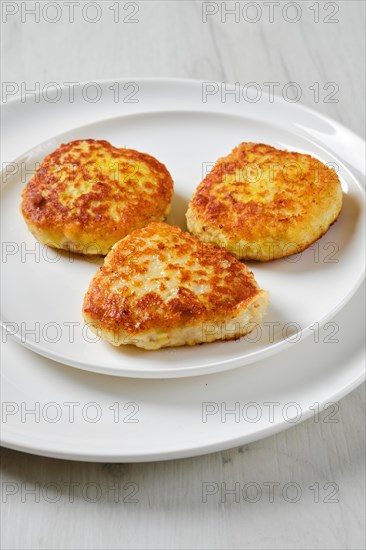 Fried squid cutlet in breading on a plate