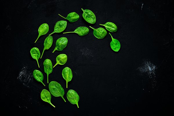 Fresh green baby spinach leaves on abstract black background