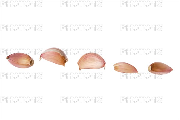 Cloves of garlic isolated on white background