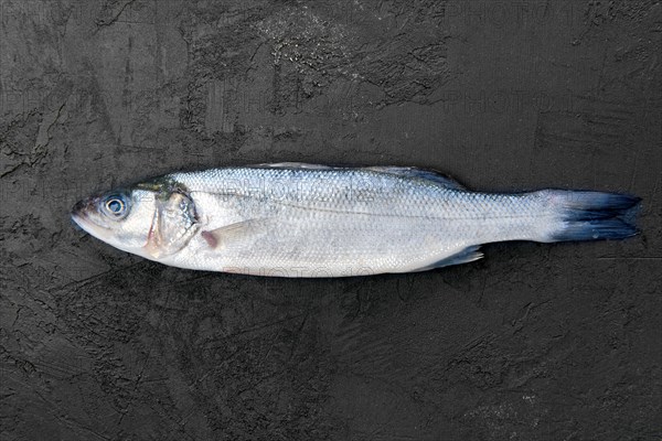 Raw seabass fish on black stone table