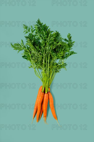 Fresh spring baby carrot with tops