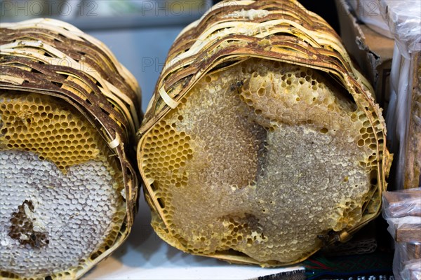 Sweet fresh honey in the sealed comb frame