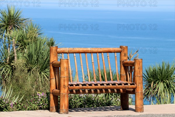 Wooden park bench at a park