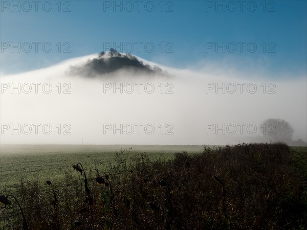 View of the Hohenkarpfen in the fog
