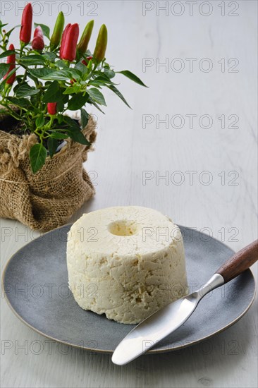 Pressed cottage curd cheese on ceramic plate