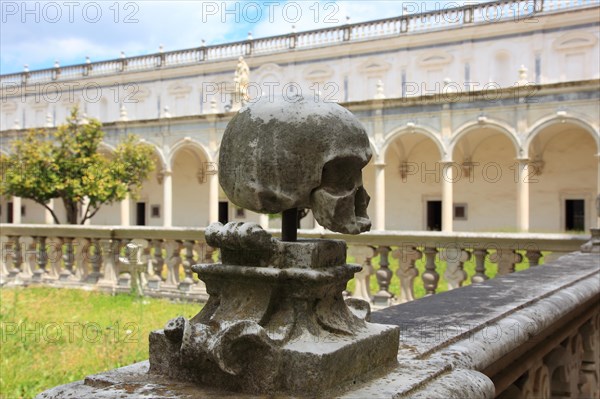 Skull in the monks' cemetery