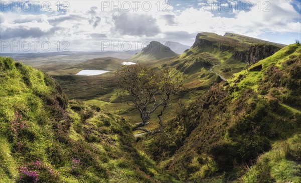 Quiraing Rock Landscape