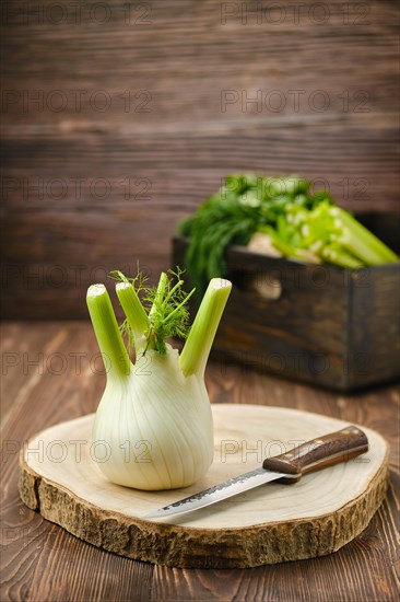 Fresh fennel bulb on wooden cutting board
