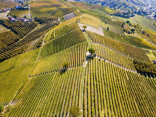 Aerials of the wineyards around Castle of Grinzane Cavour