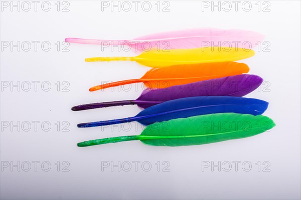 Studio shot photo of colored bird feathers as texture background