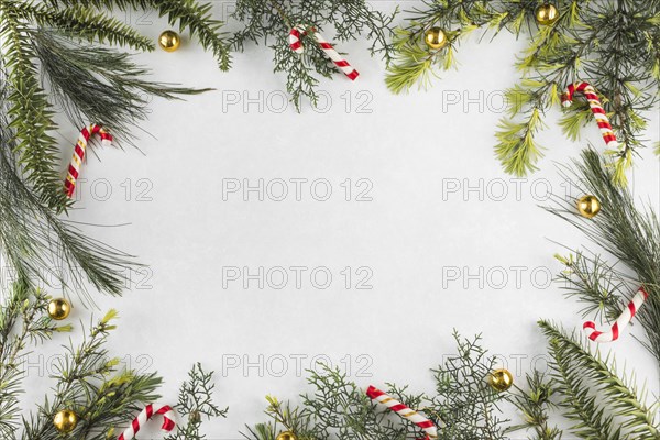 Christmas composition branches with candy canes